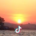 漂流鱼