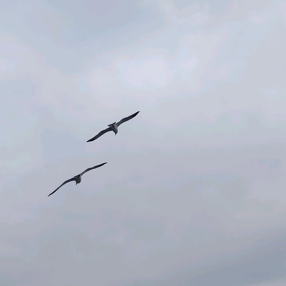 看世界