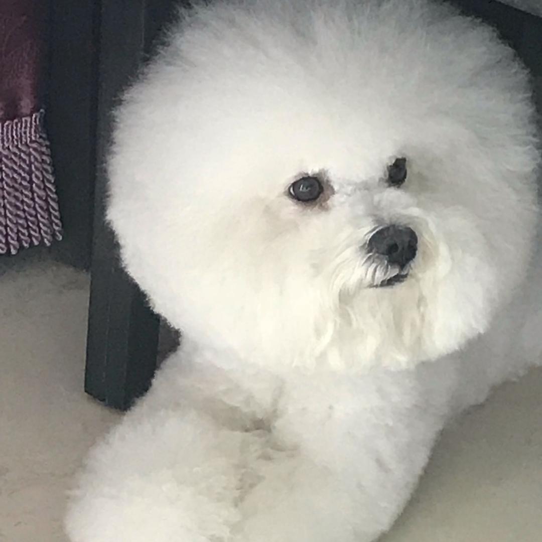 大壮