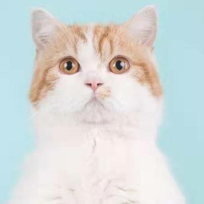 甜筒     小螃蟹