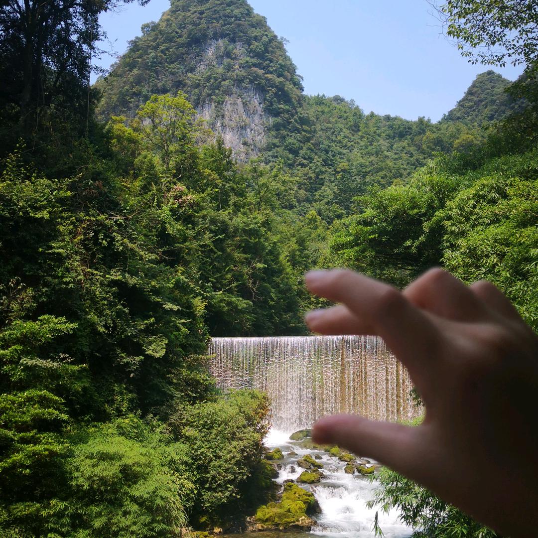 小七木木