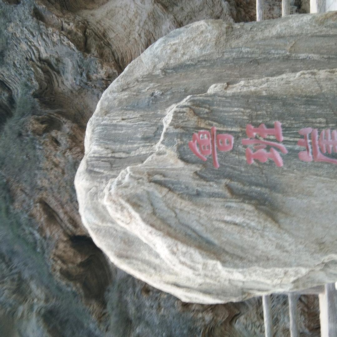 佛留心中