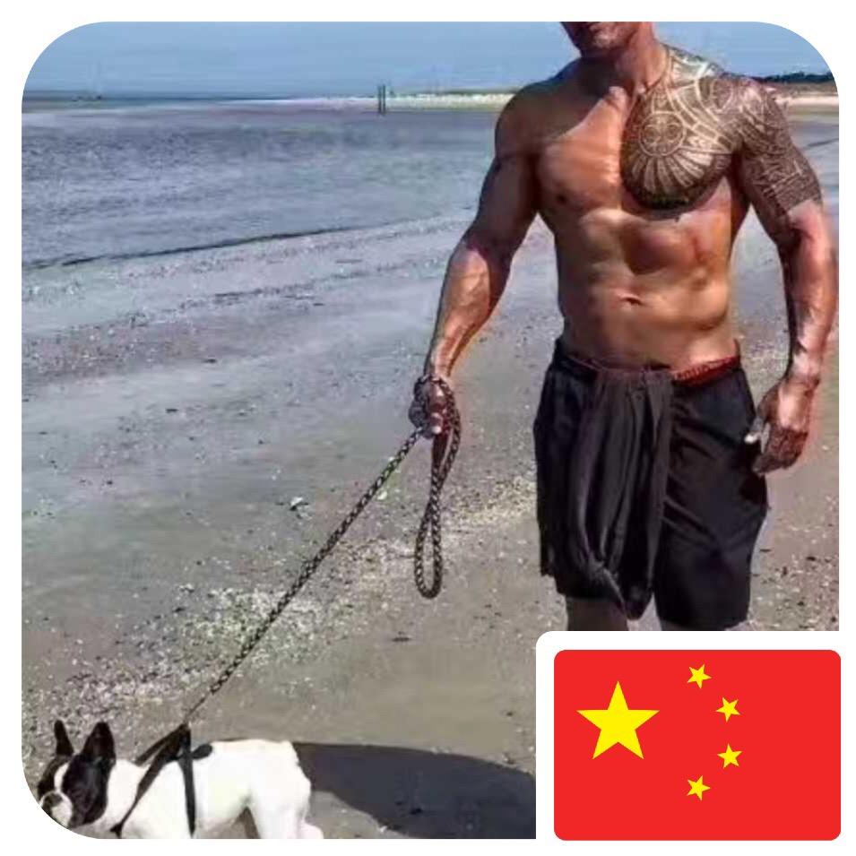 昨夜星辰↑