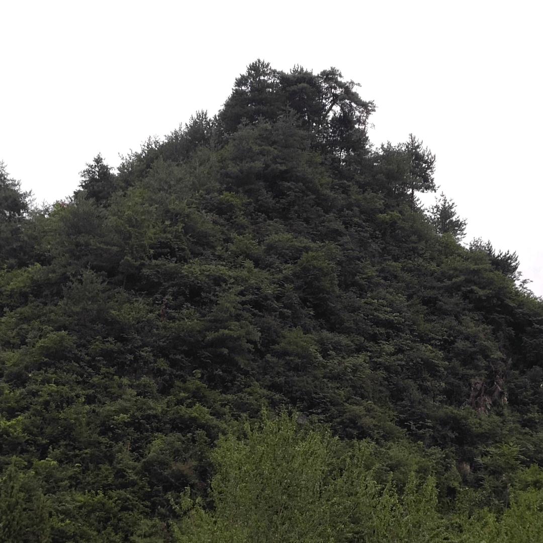 奋斗中的90后