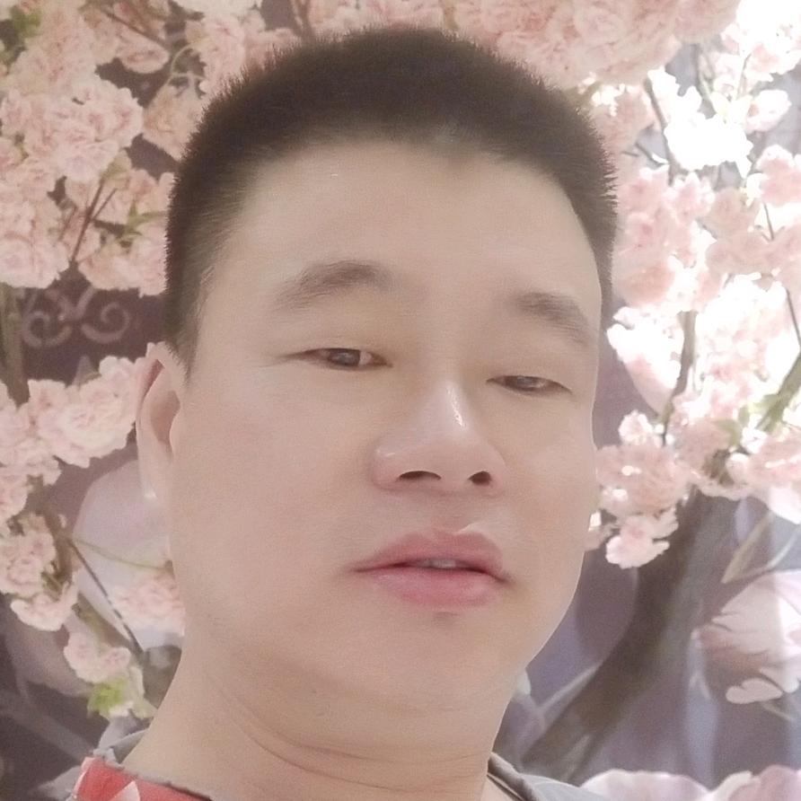 龙翼