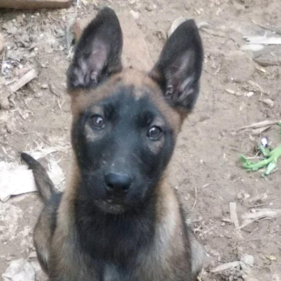 好人一生平安、