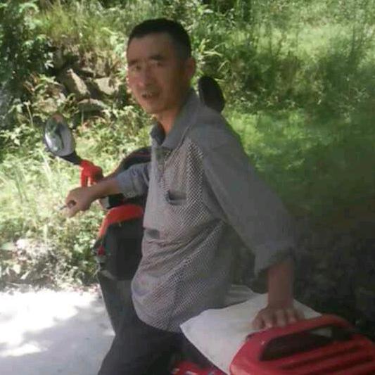 。每晚都在看