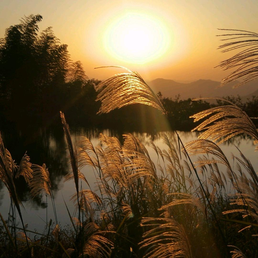 便民理发——飞扬