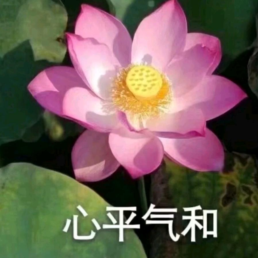 开心