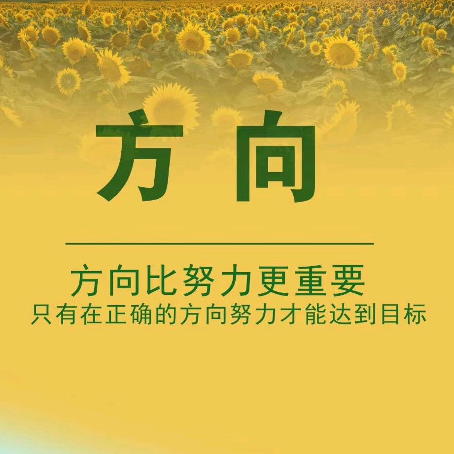 快乐出帆