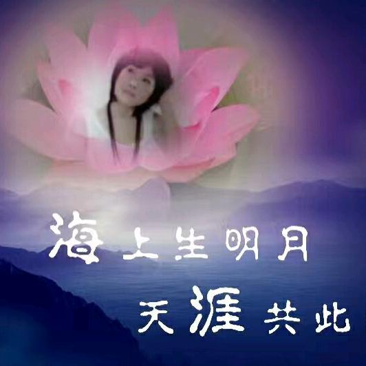 无名草