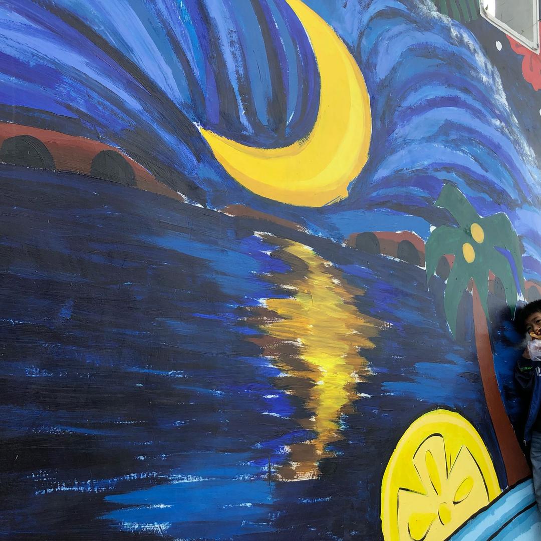 ～～轩～～～～