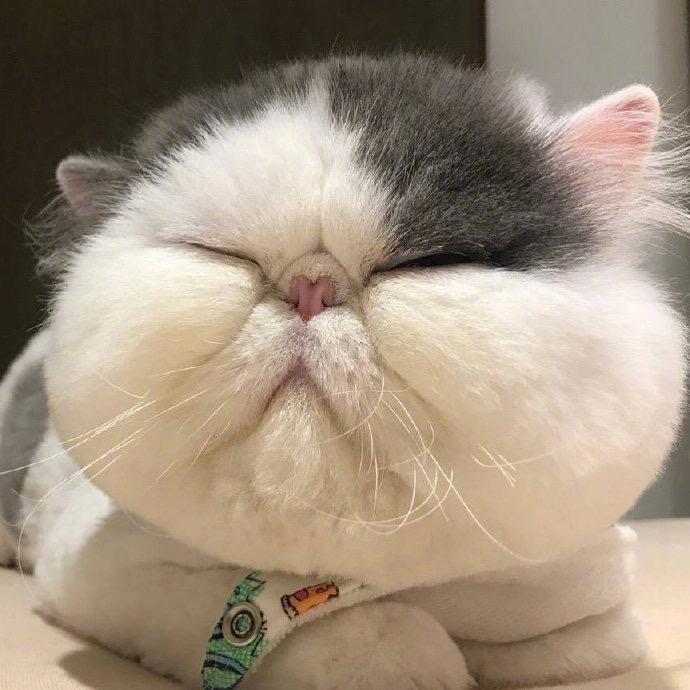 阿哈哈哈
