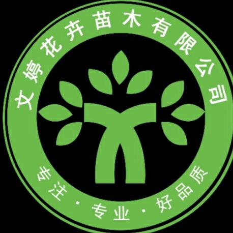 青州市文婷花卉、地被草花专供