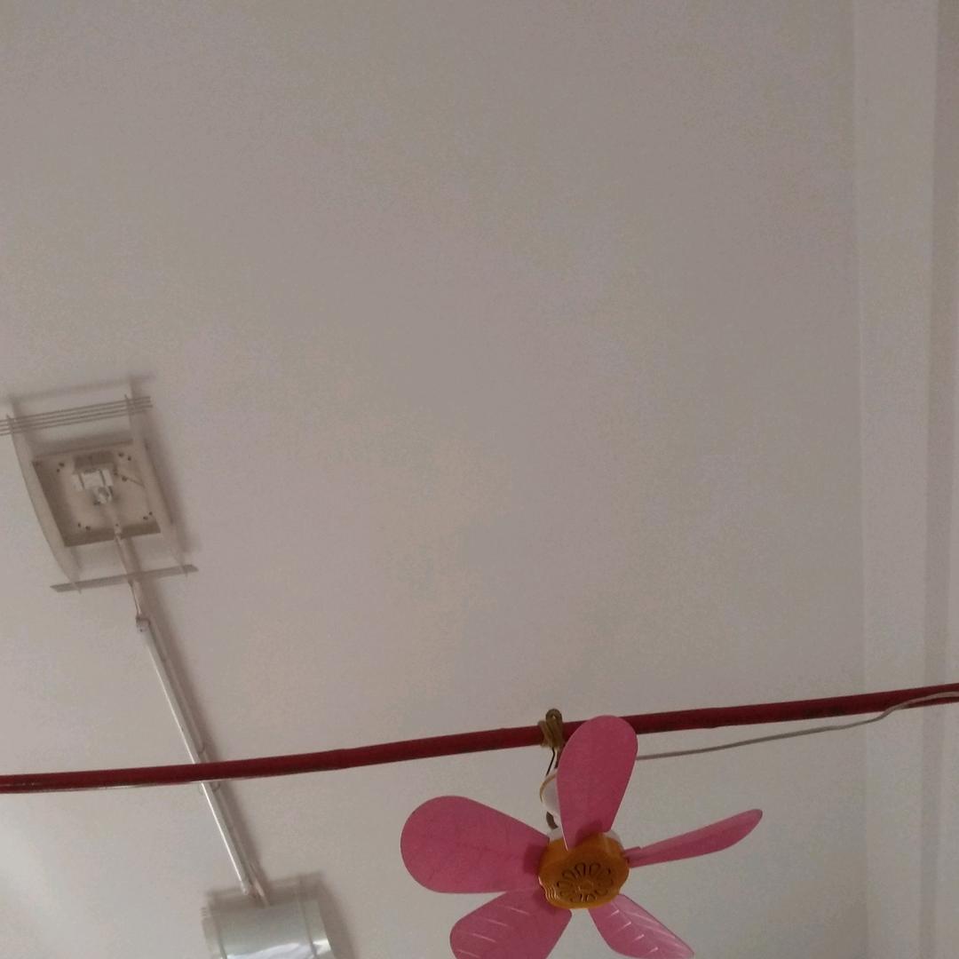 劉傅明天更美好