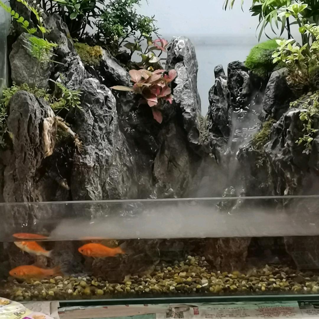 只要开心就好