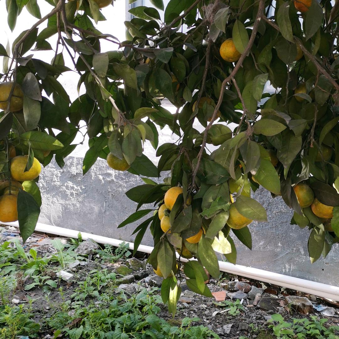 ꧔ꦿ℘一路💞᭄᪲ᩚ꯭ᩚ有你꧔ꦿ᭄