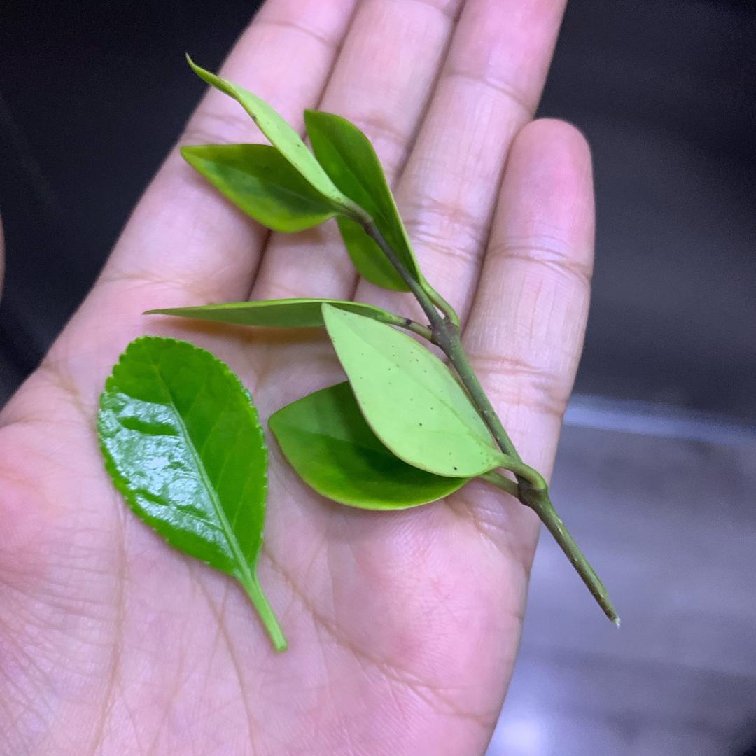 妈妈老仙女🧚‍♀️