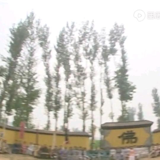 1314离遇