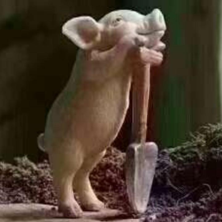 期待有缘人