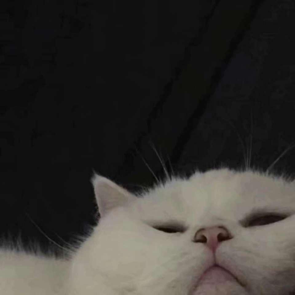 曾宇杰