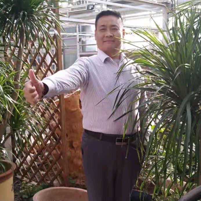 熊二红白喜事一条龙服务