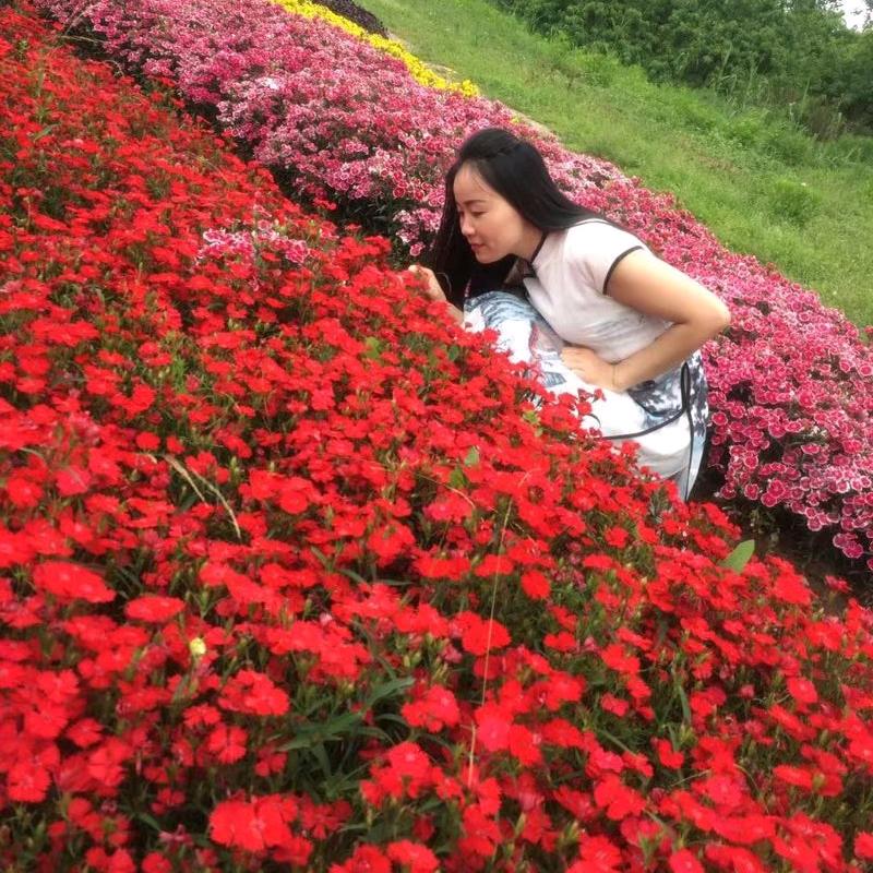 (二宝贝)月光彩霞