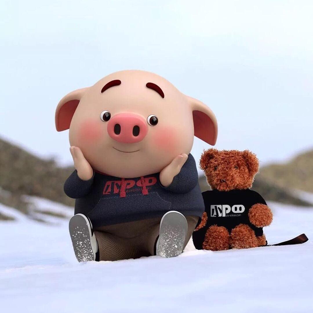 专业百合收购，种球出售