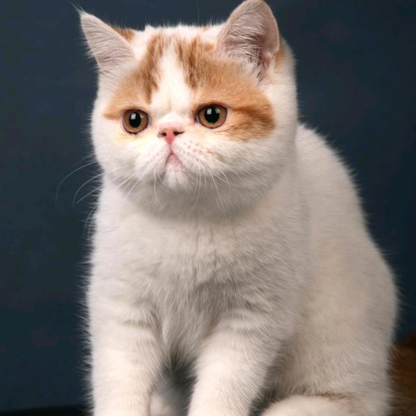 心好才真的好😎