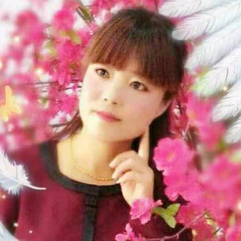 相约玫瑰