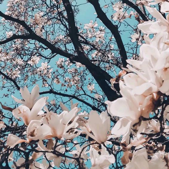 幸福一家人(^_^)