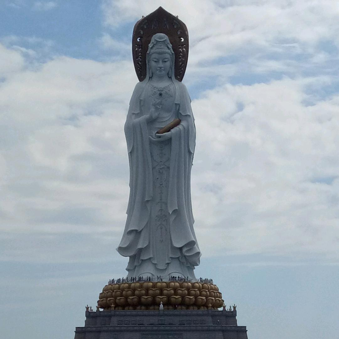 龙哥