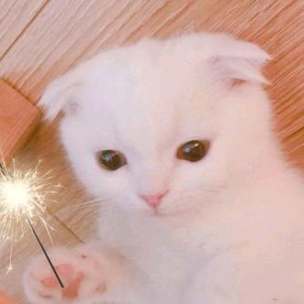 陈橙🍀