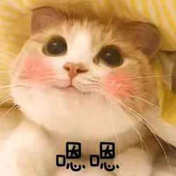 柠檬与温开水