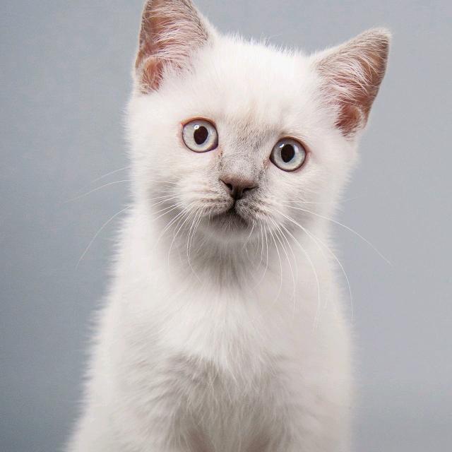 最残忍的是人心