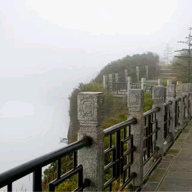 •᷄ࡇ•᷅难人