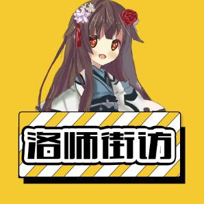 洛师街访