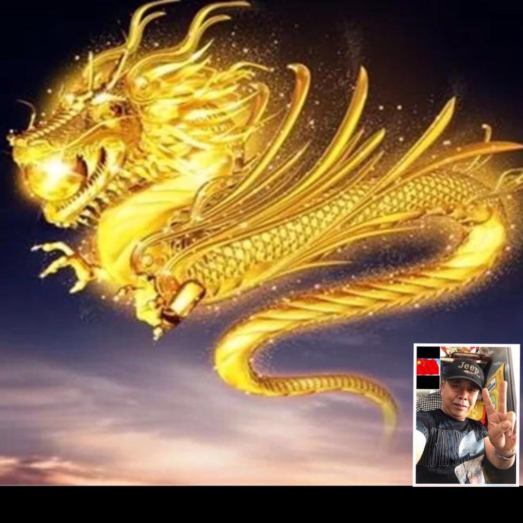 龙🐲🐉仔