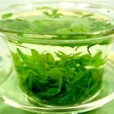 清茶