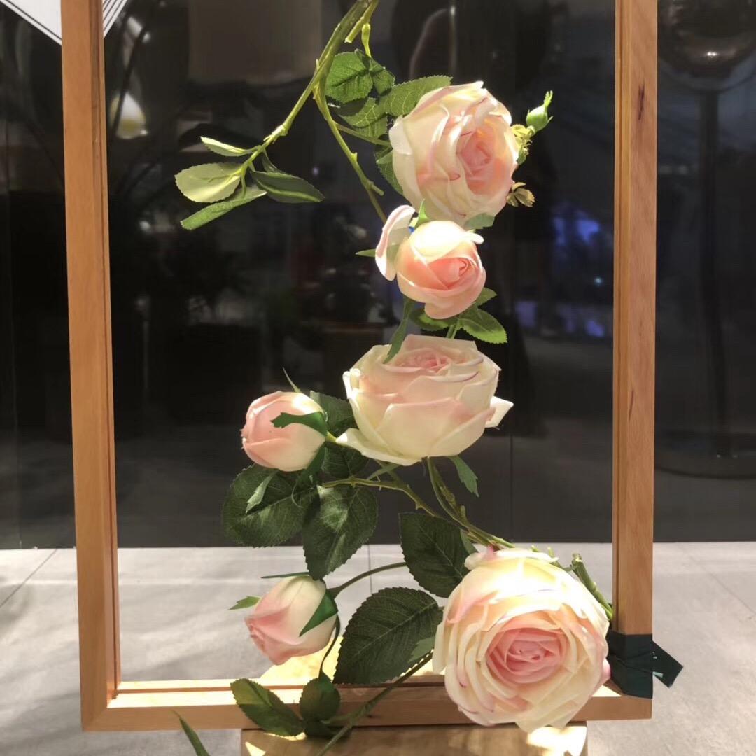 一品香18年老店，大红袍总批发