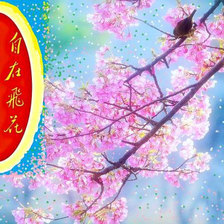 自在逍遥
