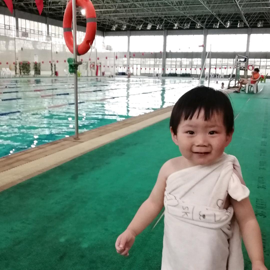 大树