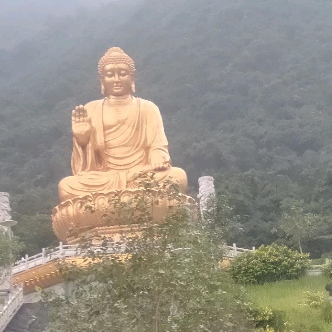 往后余生都是你