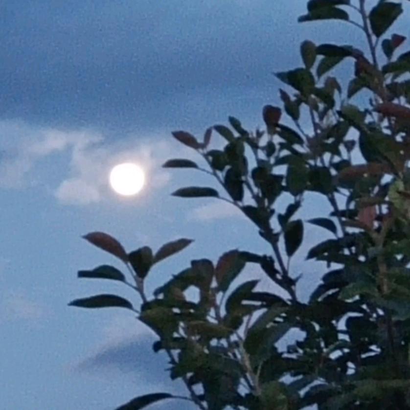 🇨🇳🇨🇳金平🇨🇳🇨🇳