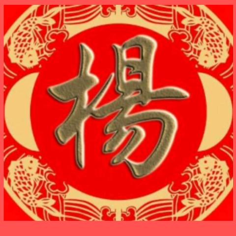 才哥