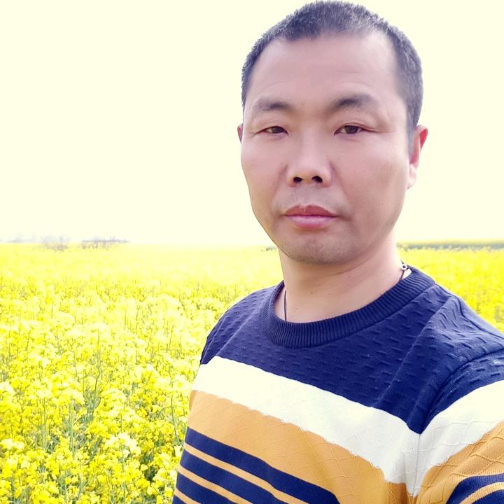 心栾栾