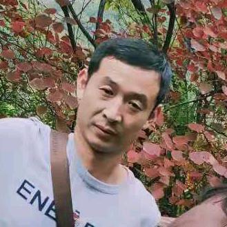 随意的风