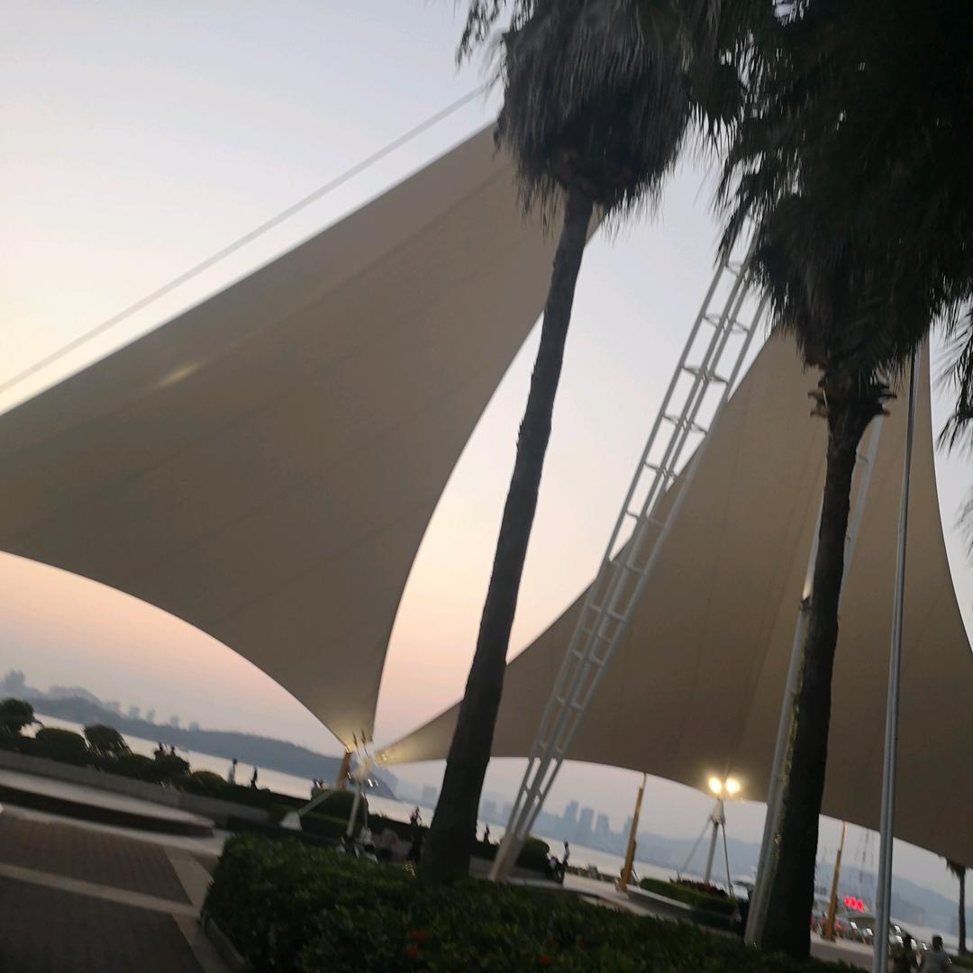 杠中杠（勤劳智慧的海外搬运小蜜蜂）