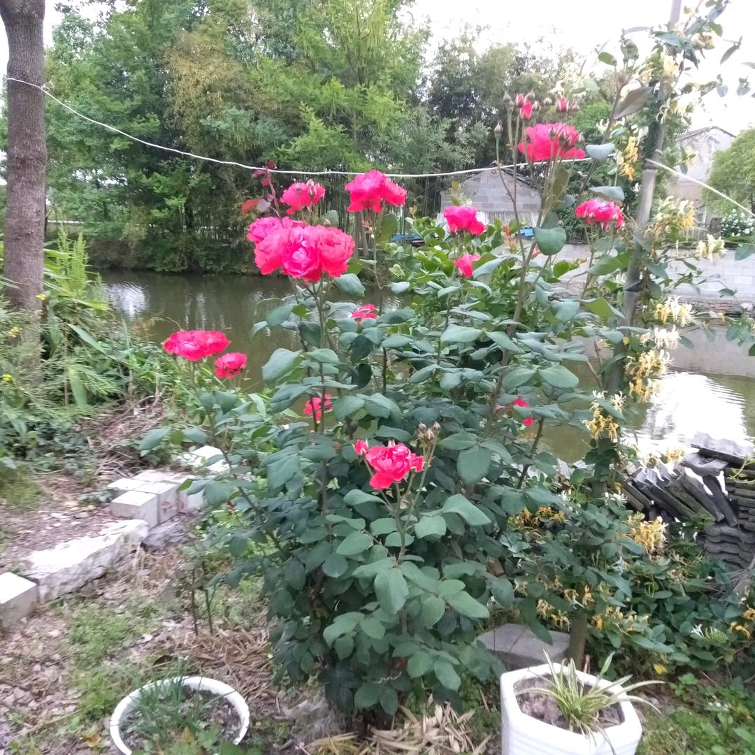 罗强斌小学文化76年出生