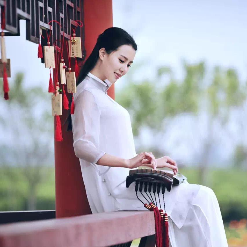 东方茶仙子✨夏天